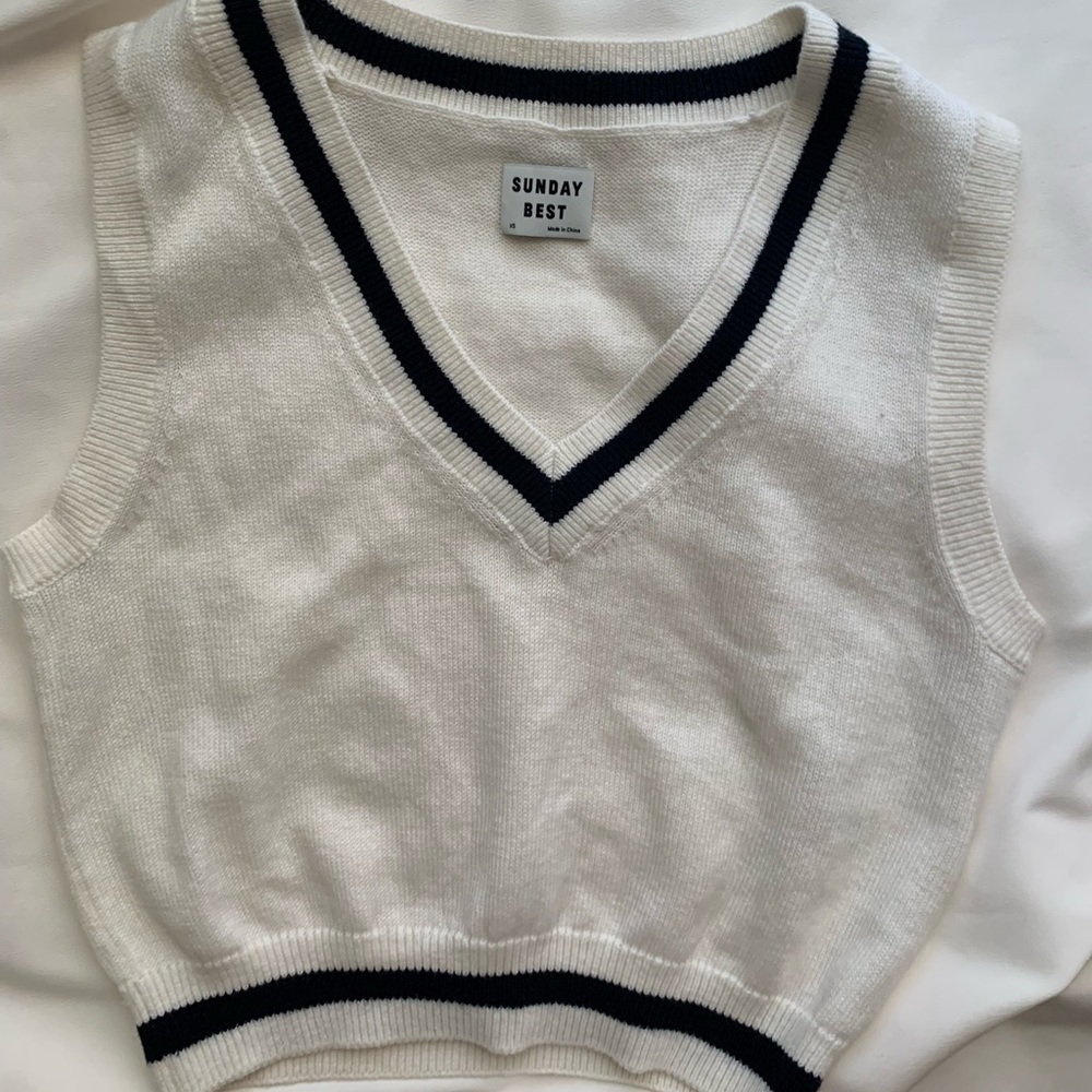 Aritzia Sweater Vest